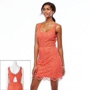 LC Lauren Conrad Women's Dress Cotton Tank Crochet